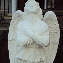 DSC06637